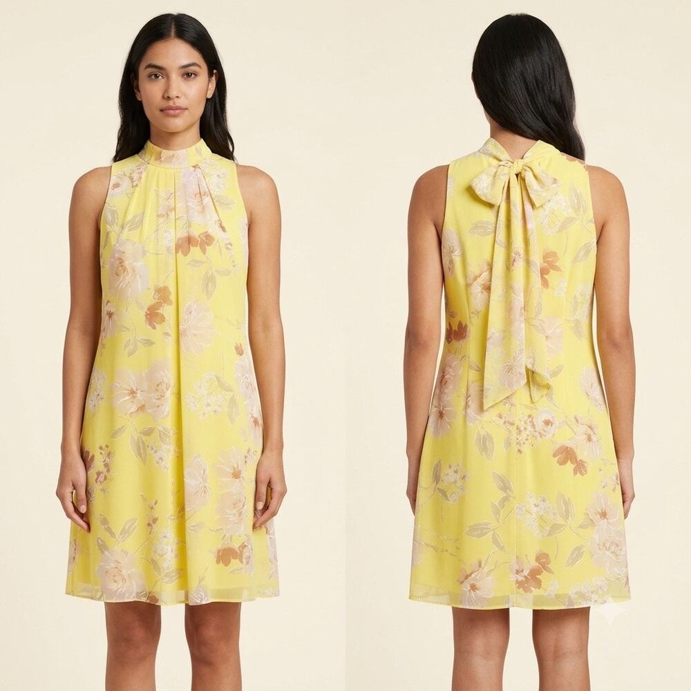 205-Signature by Robbie Bee Dress size 12P / PTP 20”